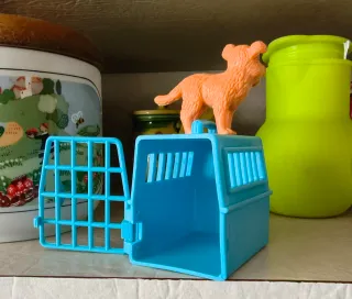 Cagnolino Cucciolo Vintage con Trasportino