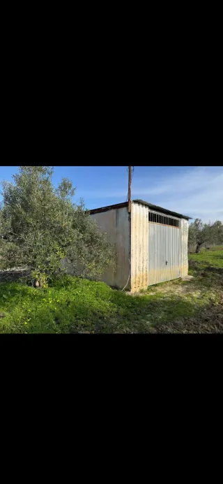 Parcela rústica en venta