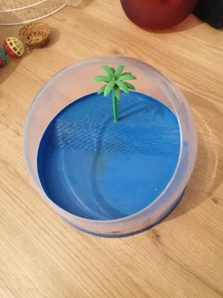 Tortuguera con palmera decorativa