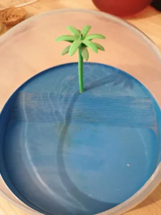 Tortuguera con palmera decorativa