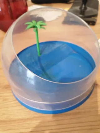 Tortuguera con palmera decorativa