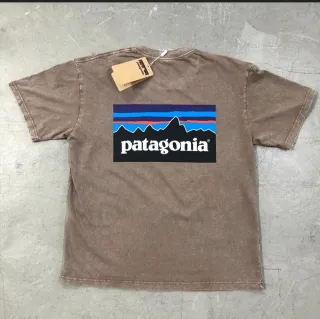 Camiseta Patagnia Manga Corta Marrón