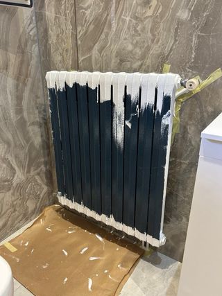 Pintor profesional económico con experiencia