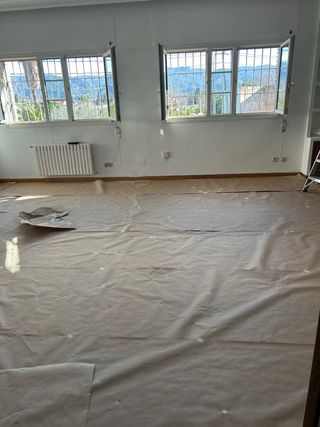 Pintor profesional económico con experiencia