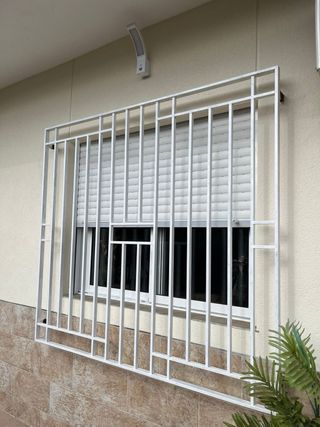 Pintor profesional económico con experiencia