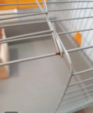 Jaula para roedores con complementos