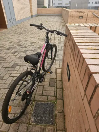 Bicicleta niña Rueda 24