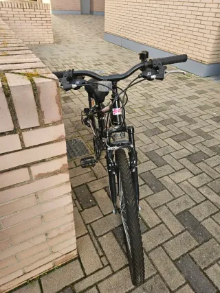 Bicicleta niña Rueda 24