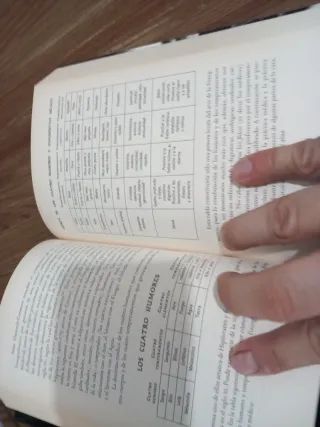 El gran libro de las brujas