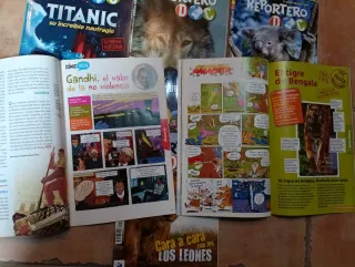 Lote 9 Revista Reportero DOC