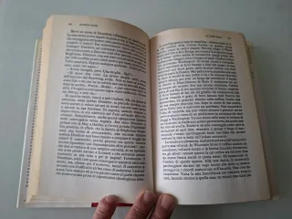 La volpe rossa romanzo di Hyde Thriller politico s