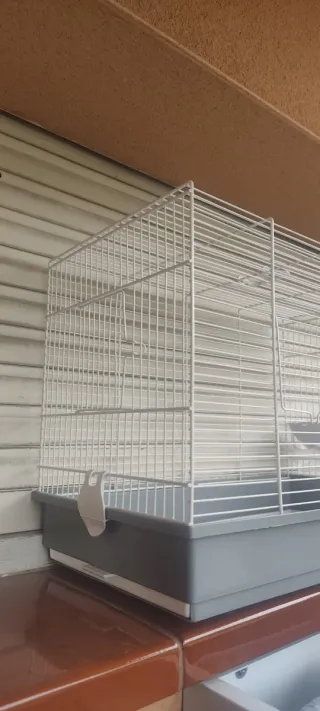 Jaula para pájaros blanca y gris