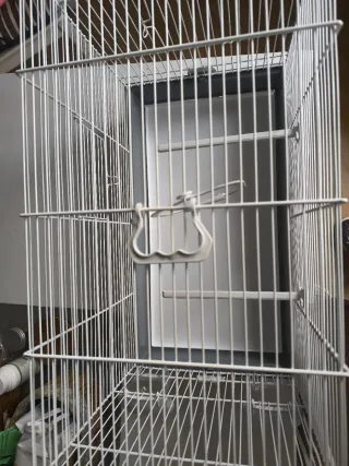 Jaula para pájaros blanca y gris