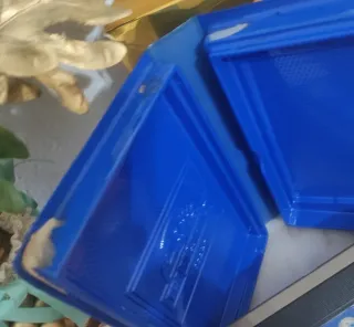 Blue Man VHS - Terror y Crimen