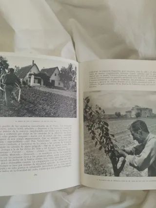 Libro,Joan Fuster."El Pais Valenciano.