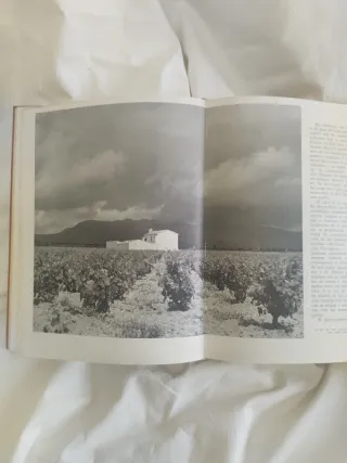 Libro,Joan Fuster."El Pais Valenciano.