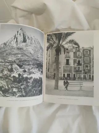 Libro,Joan Fuster."El Pais Valenciano.