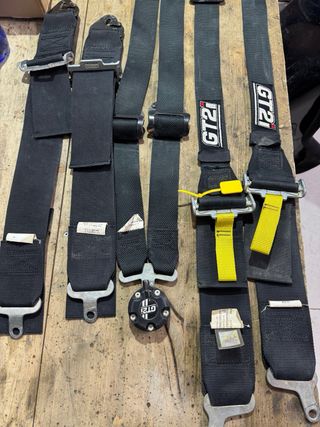 Arnés 6 puntos GT2i