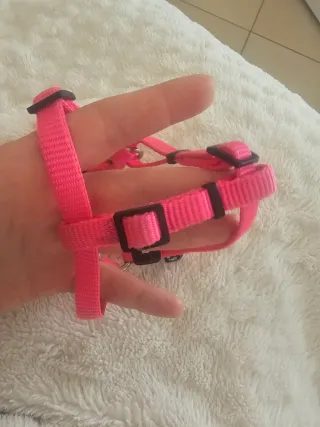 Pettorina regolabile per cane/gatto