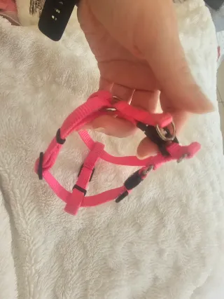 Pettorina regolabile per cane/gatto