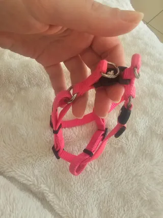 Pettorina regolabile per cane/gatto