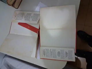 Papillon y continuacion