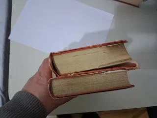 Papillon y continuacion