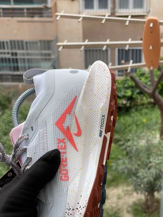 Nike Trail Running Gore-Tex Zapatillas Multicolor