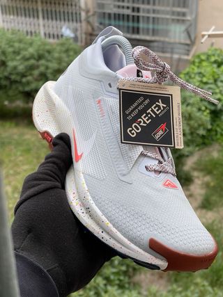 Nike Trail Running Gore-Tex Zapatillas Multicolor