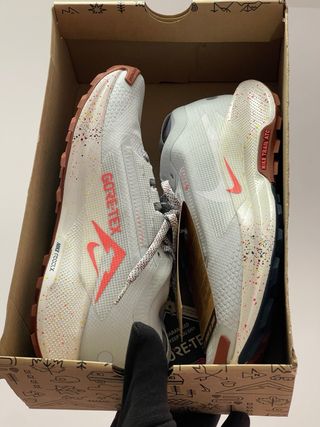 Nike Trail Running Gore-Tex Zapatillas Multicolor