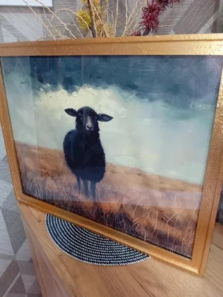 Cuadro dorado oveja negra en el campo