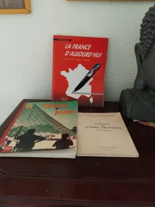 25 Libros gramática francesa por 12 euros TODOS