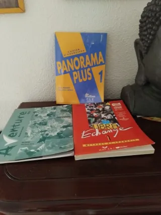 25 Libros gramática francesa por 12 euros TODOS