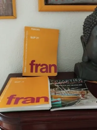 25 Libros gramática francesa por 12 euros TODOS