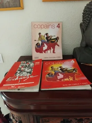 25 Libros gramática francesa por 12 euros TODOS