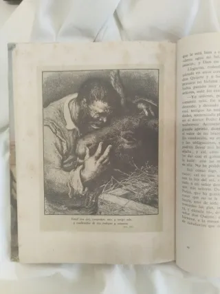 El Quijote. (Edición escolar)