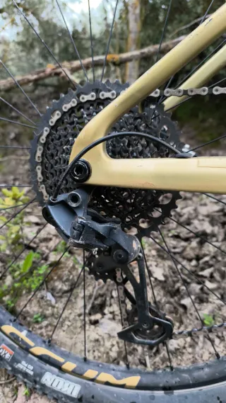 Berria Mako 8 MTB DT Swiss