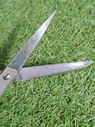 Forbici antiche con tre garofani