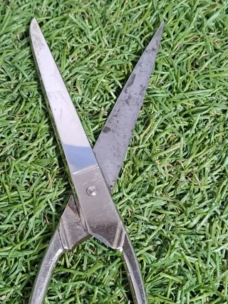 Forbici antiche con tre garofani