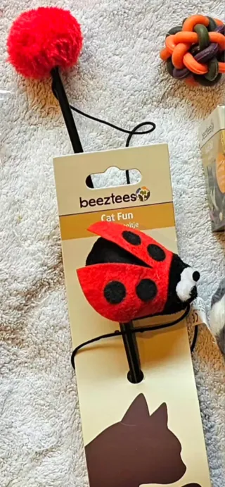 Spettacolare lotto di giocattoli e articoli per l'igiene per gatti