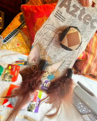 Spettacolare lotto di giocattoli e articoli per l'igiene per gatti