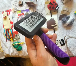 Spettacolare lotto di giocattoli e articoli per l'igiene per gatti