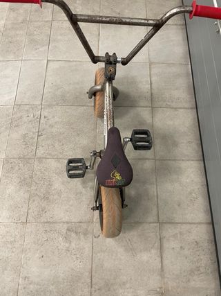 Mini BMX Wildcat