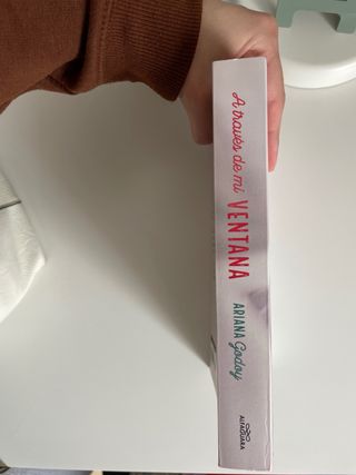 A través de mi ventana / Through My Window