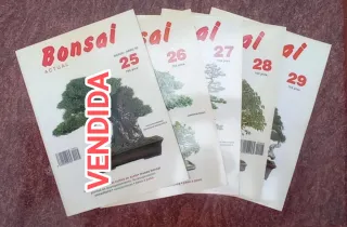 Revistas de Bonsai
