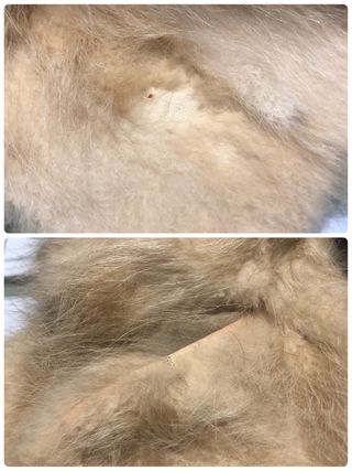 Abrigo de pelo natural nuevo (Tara)