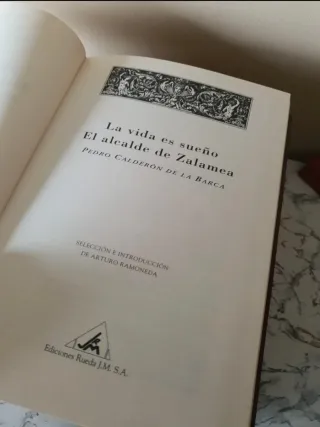 Lote Clásicos de la Literatura Española