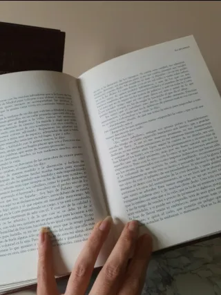 Lote Clásicos de la Literatura Española