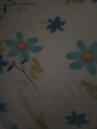 Busco trabajo limpieza del hogar