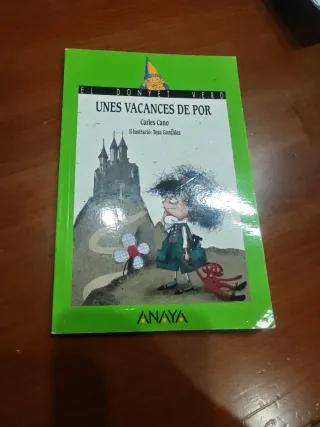 Libro El Donyet Verd: Unes Vacances de Por